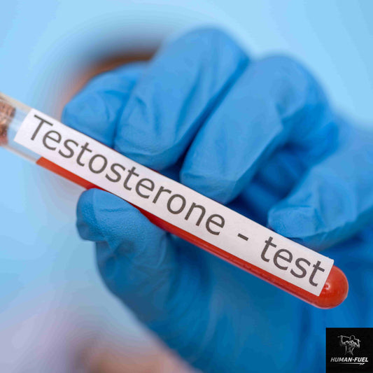 Der stille Verfall: Warum Testosteron bei Männern drastisch sinkt – und was das für dich bedeutet